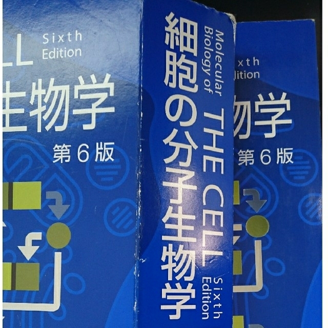 The Cell 細胞の分子生物学 第6版 健康/医学 The Cell 細胞の分子生物学 第6版 健康/医学
