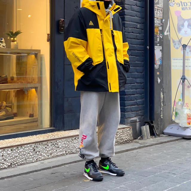 NIKE - 【最安値】NIKE LAB ACG GORETEX HD JACKET イエローの通販 by