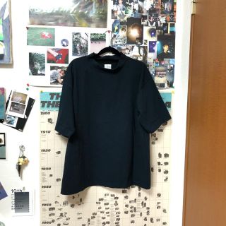 サンタモニカ(Santa Monica)のsein モックネックＴシャツ(Tシャツ(半袖/袖なし))