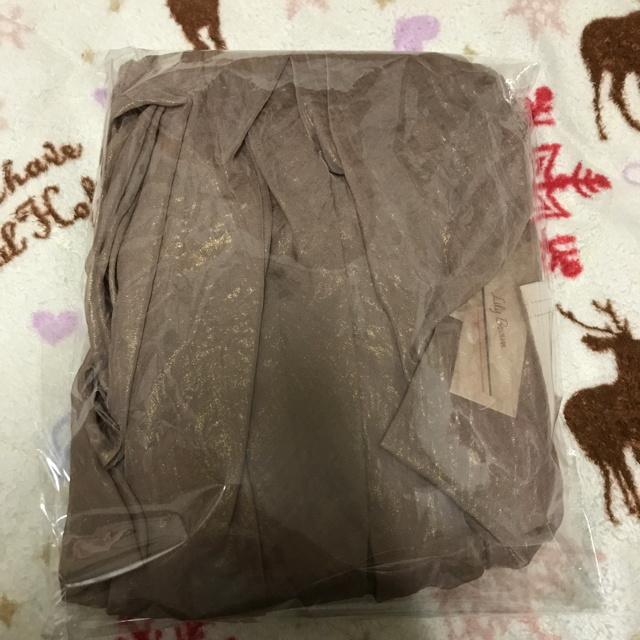 Lily Brown(リリーブラウン)の光沢シースルーフレアスカート レディースのスカート(ロングスカート)の商品写真