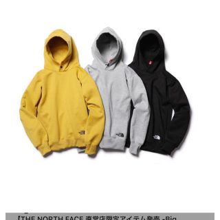 ザノースフェイス(THE NORTH FACE)のノースフェイス ビックフーディー(パーカー)