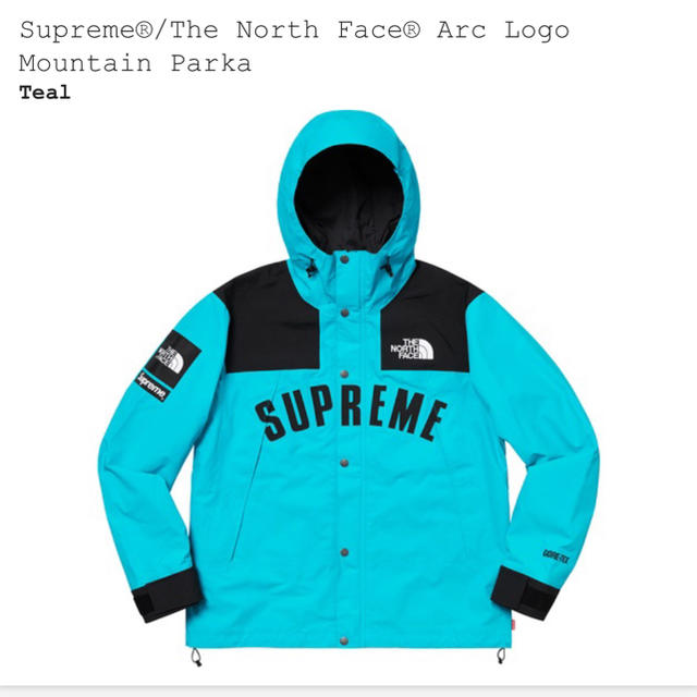 L supreme north face mountain parkaのサムネイル