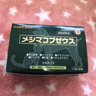 チョビにゃー様専用 メシマコブゼウス 顆粒60分包タイプ 太陽食品(その他)