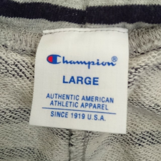 Champion(チャンピオン)の(試着のみ)Champion ボーダー膝丈スカート(L) レディースのスカート(ひざ丈スカート)の商品写真