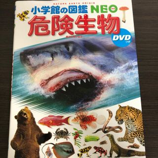 ショウガクカン(小学館)の小学舘の図鑑  危険生物DVD付(語学/参考書)