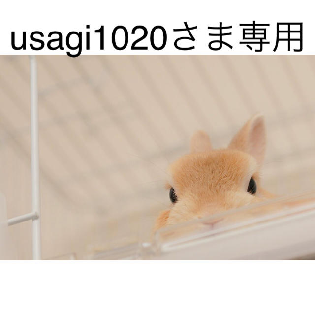 usagi1020さま専用ページ