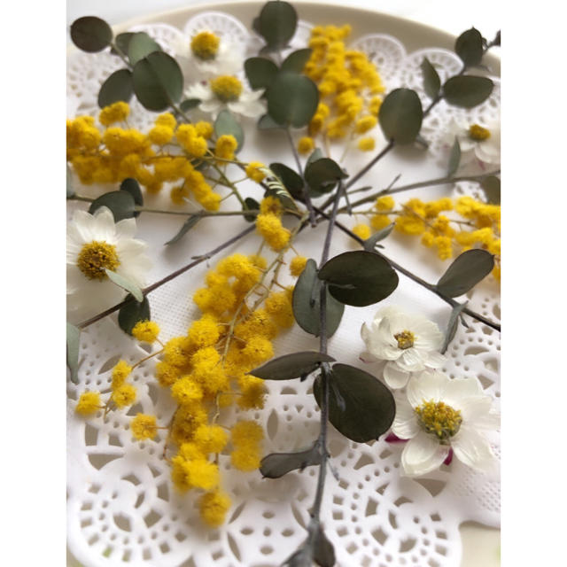ドライフラワー 花材 ミモザ  ユーカリ 花かんざし ハンドメイドの素材/材料(各種パーツ)の商品写真