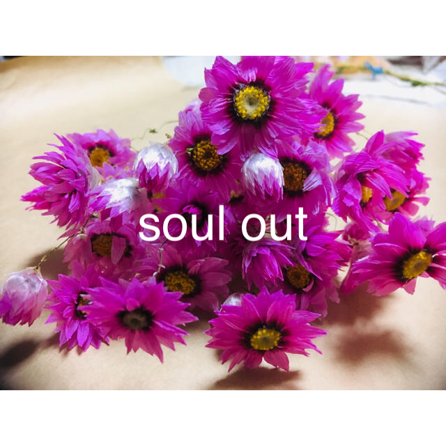 soul out