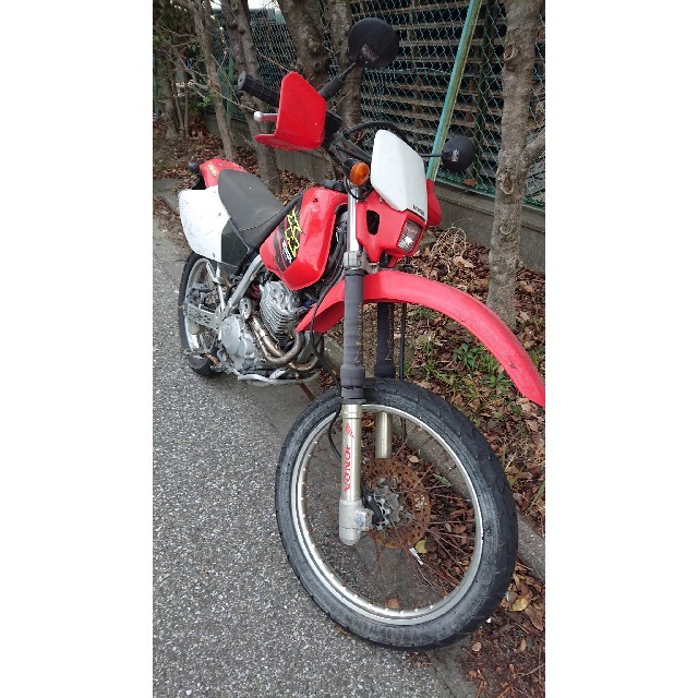 XR250 HONDA ホンダ