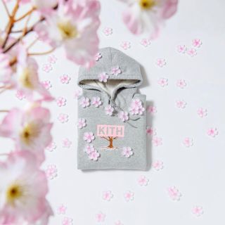 Lサイズ Kith Treats box logo hanami hoodie(パーカー)