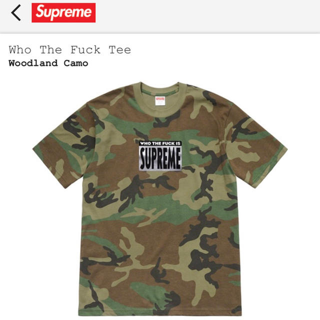 Supreme(シュプリーム)のWho The Fuck Tee メンズのトップス(Tシャツ/カットソー(半袖/袖なし))の商品写真