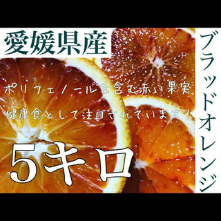 愛媛県産ブラッドオレンジ 5キロ(フルーツ)