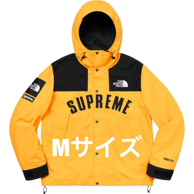 Supreme x TNF Arc Logo Mountain Parka