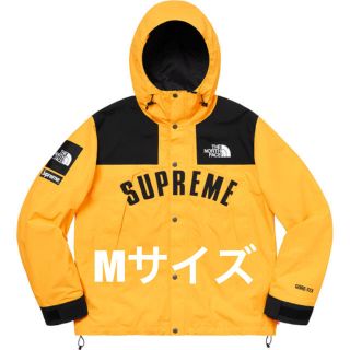 シュプリーム(Supreme)のSupreme x TNF Arc Logo Mountain Parka  (マウンテンパーカー)