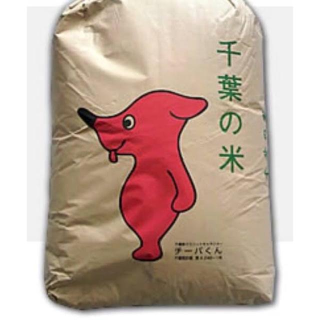 千葉県産コシヒカリ 20kg食品