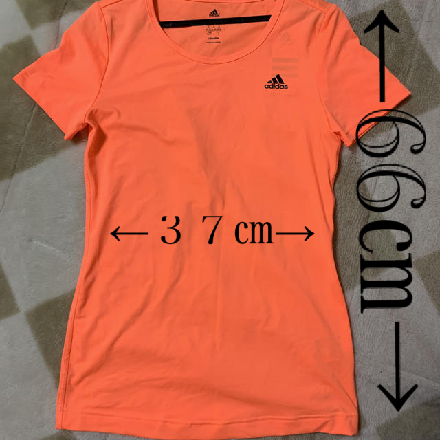 adidas(アディダス)のadidas Tシャツ レディースのトップス(Tシャツ(半袖/袖なし))の商品写真