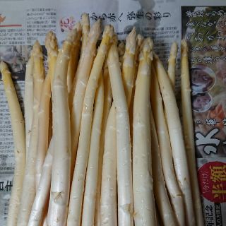 (終了間近！)佐賀県産ホワイトアスパラ1.5キロ(訳あり)(野菜)