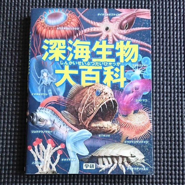 深海生物大百科 エンタメ/ホビーの本(絵本/児童書)の商品写真