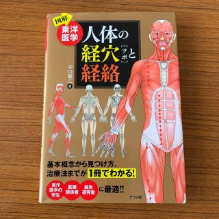 東洋医学 人体の経穴と経路(健康/医学)