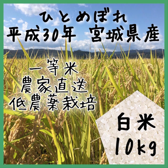 即購入OK♪【農家直送】新米 宮城県産ひとめぼれ 白米 10kg【送料無料】