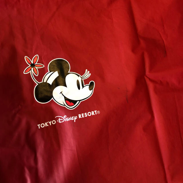 Disney(ディズニー)の東京ディズニーリゾート  レインポンチョ レディースのファッション小物(レインコート)の商品写真