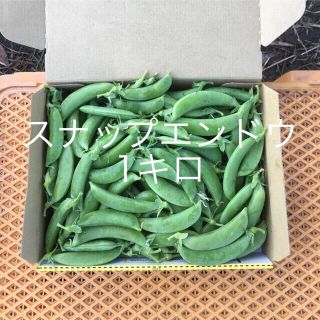 鹿児島産スナップエンドウ1キロ^_^(野菜)