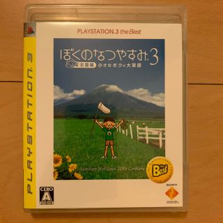 プレイステーション3(PlayStation3)のhikari様専用 ぼくのなつやすみ3 PS3(家庭用ゲームソフト)