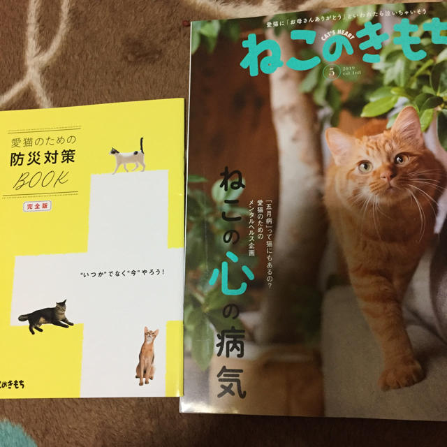 ねこのきもち 2019.5月号 付録 愛猫のための防災対策book その他のペット用品(猫)の商品写真