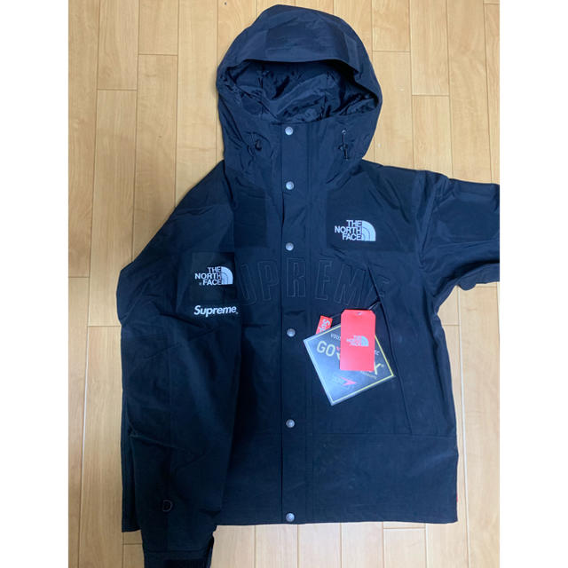 Supreme/The North Face Mountain Parka