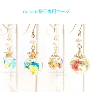 nozomi様♡専用ページ(ピアス)