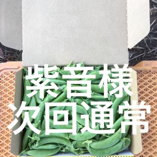 鹿児島産スナップエンドウ1キロ^_^次回通常(野菜)