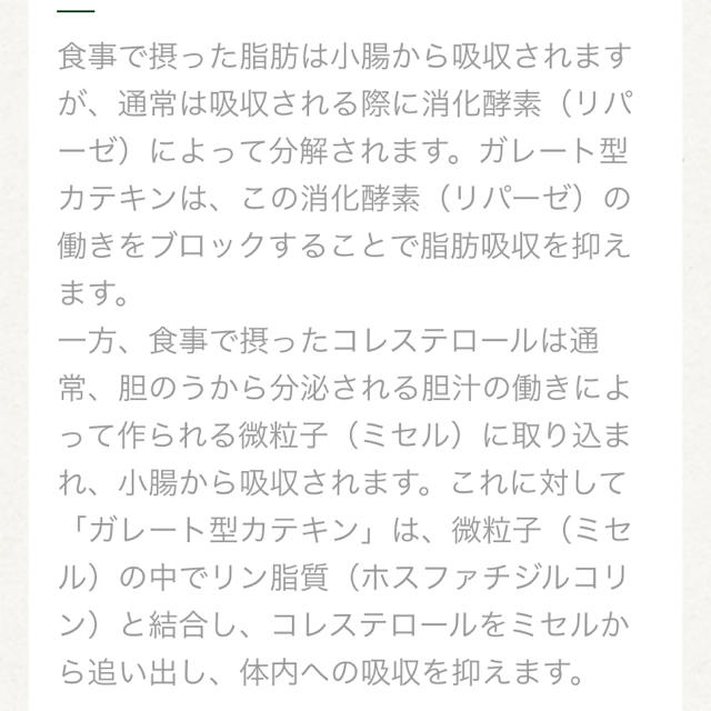 伊藤園(イトウエン)のマユマユ様専用カテキン緑茶350ミリペット24本×2ケース（48本) 食品/飲料/酒の健康食品(健康茶)の商品写真