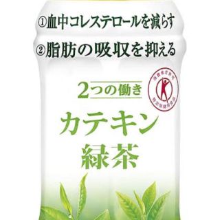 イトウエン(伊藤園)のマユマユ様専用カテキン緑茶350ミリペット24本×2ケース（48本)(健康茶)