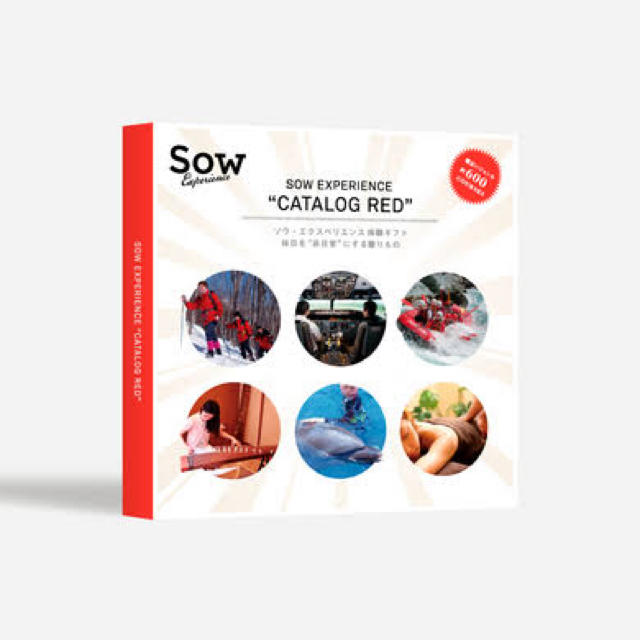 セール! 【新品】SOW エクスペリエンス カタログ ギフト 総合版