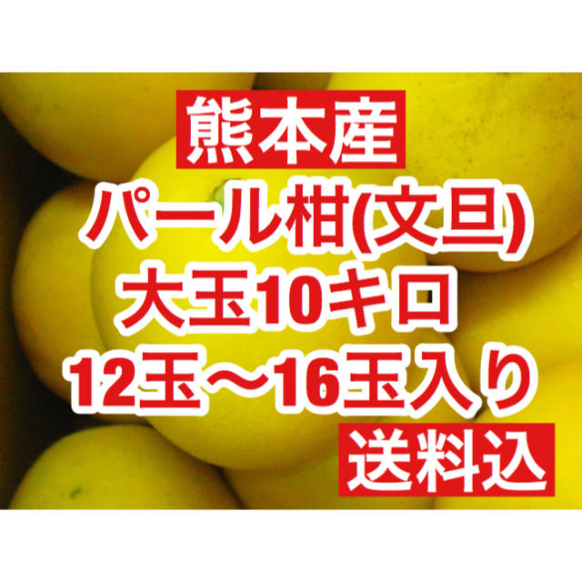 熊本産  大玉パール柑(文旦)3L以上  12玉〜16玉 約10キロ  送料込 食品/飲料/酒の食品(フルーツ)の商品写真