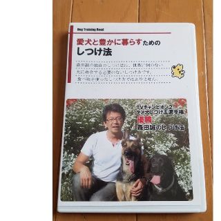 犬しつけ　森田誠　DVD(犬)