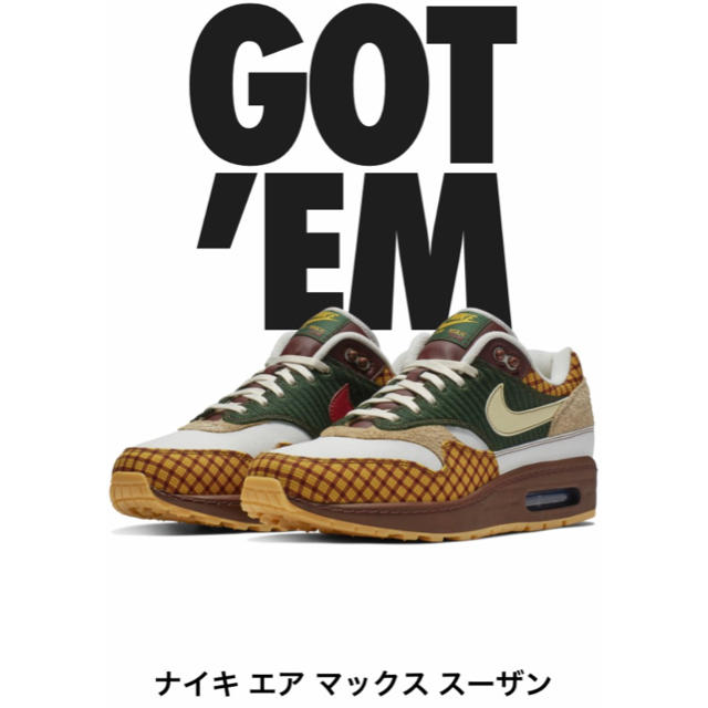 NIKE AIR MAX 1 SUSAN エアマックス スーザン