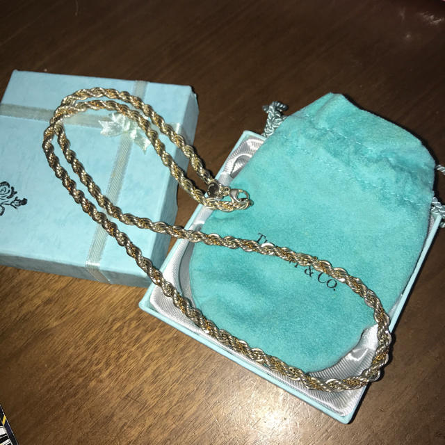 TIFFANY\u0026Co. ティファニー　スクリューシルバー\u0026750YGネックレス