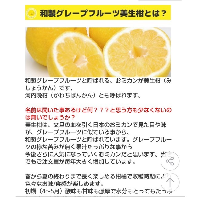 農家直送‼️訳あり渋味の少ない和製グレープフルーツ10kg 食品/飲料/酒の食品(フルーツ)の商品写真