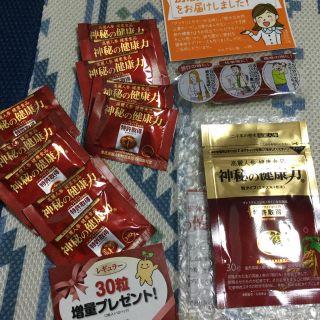 高麗人参 神秘の健康力(その他)