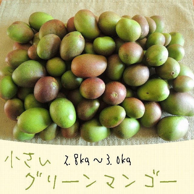 3キロ-1》主に小さい グリーンマンゴー 約3kg 青マンゴー 加工 3キロ-1》主に小さい グリーンマンゴー 約3kg 青マンゴー 加工