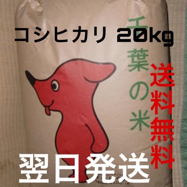 米/穀物　千葉県産コシヒカリ　20kg