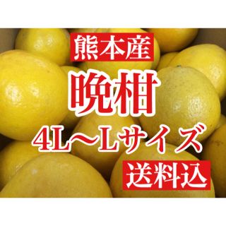 熊本産 河内晩柑(ジューシーオレンジ)  家庭用10キロ L〜4Lサイズ 送料込(フルーツ)