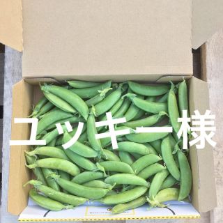 鹿児島産スナップエンドウ箱込み500g^_^(野菜)