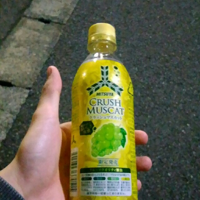 マスカット 食品/飲料/酒の食品(フルーツ)の商品写真