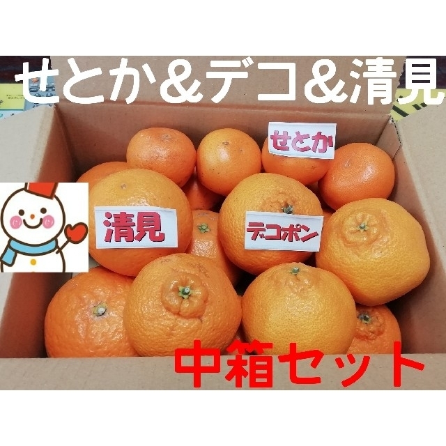 ⑦柑橘Se tお徳中箱❗デコ＆せとか＆清見♥️雪だるまより 食品/飲料/酒の食品(フルーツ)の商品写真