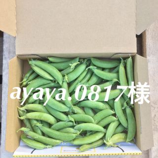 鹿児島産スナップエンドウ箱込み500g^_^(野菜)