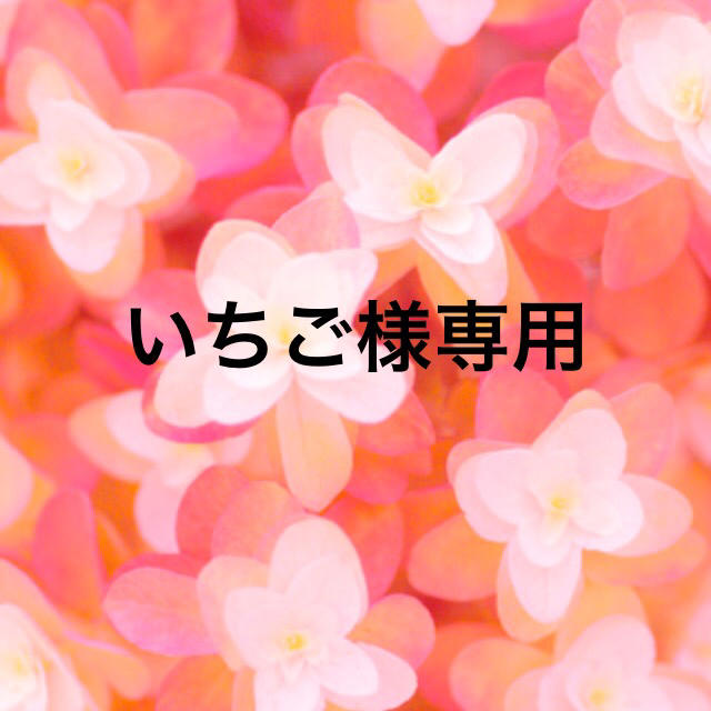 【送料無料】 いちご ビタミン 【送料無料】 いちご ビタミン