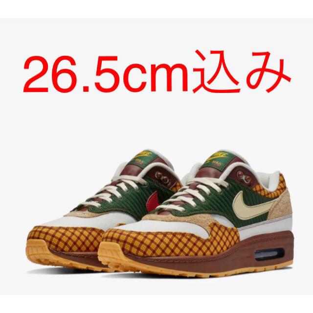 NIKE AIR MAX 1 SUSAN エアマックス スーザン