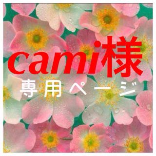 cami様おまとめ専用ページ(チュニック)